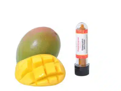 Spicy Mango Food Crayon