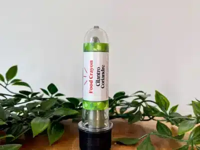 Cilantro Food Crayon