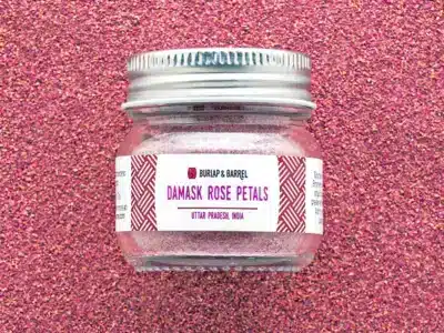 Damask Rose Petal